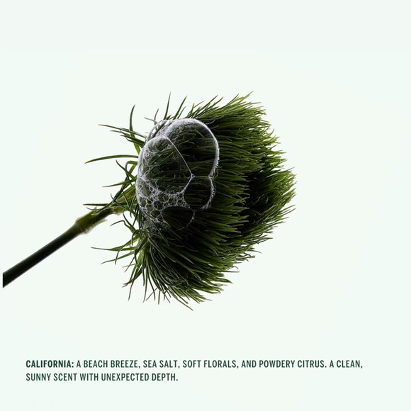 Corpus California Deodorant Stick: Sea Salt, Bergamot, White Musk, Jasmine;Vegan - Picture 3 of 9